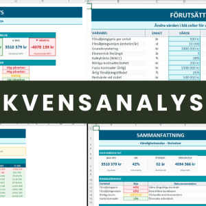 Konsekvensanalys Excel