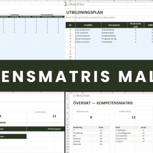 Kompetensmatris Mall Excel – komplett översikt med alla flikar