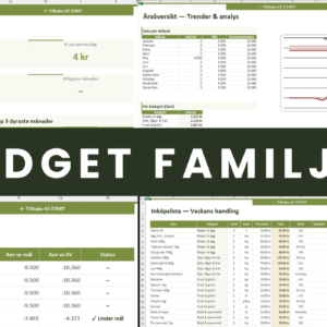 Matbudget Familj Excel